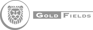 Gold Field
